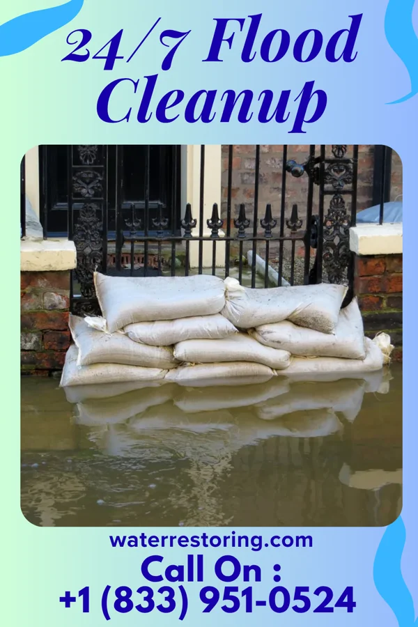 24/7 Flood Cleanup in Harbor Bluffs, FL