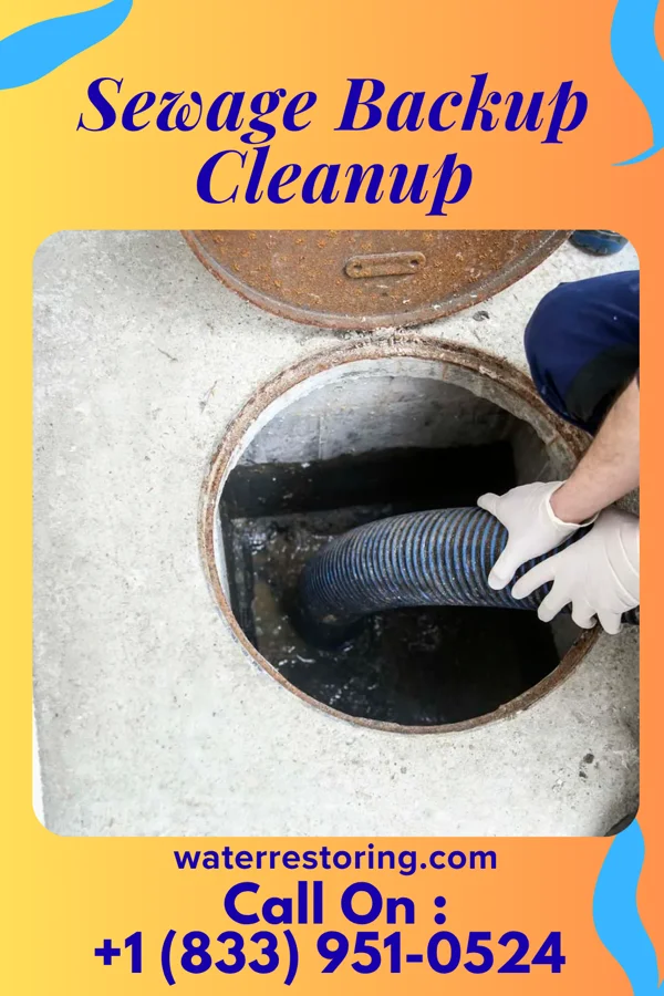 Sewage Backup Cleanup in Harbor Bluffs, FL